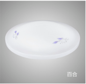 一站式建材供應(yīng)鏈平臺(tái):LED吸頂燈